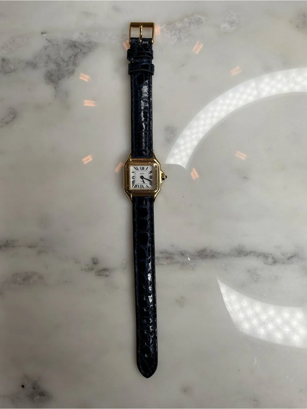 Geneve up sale